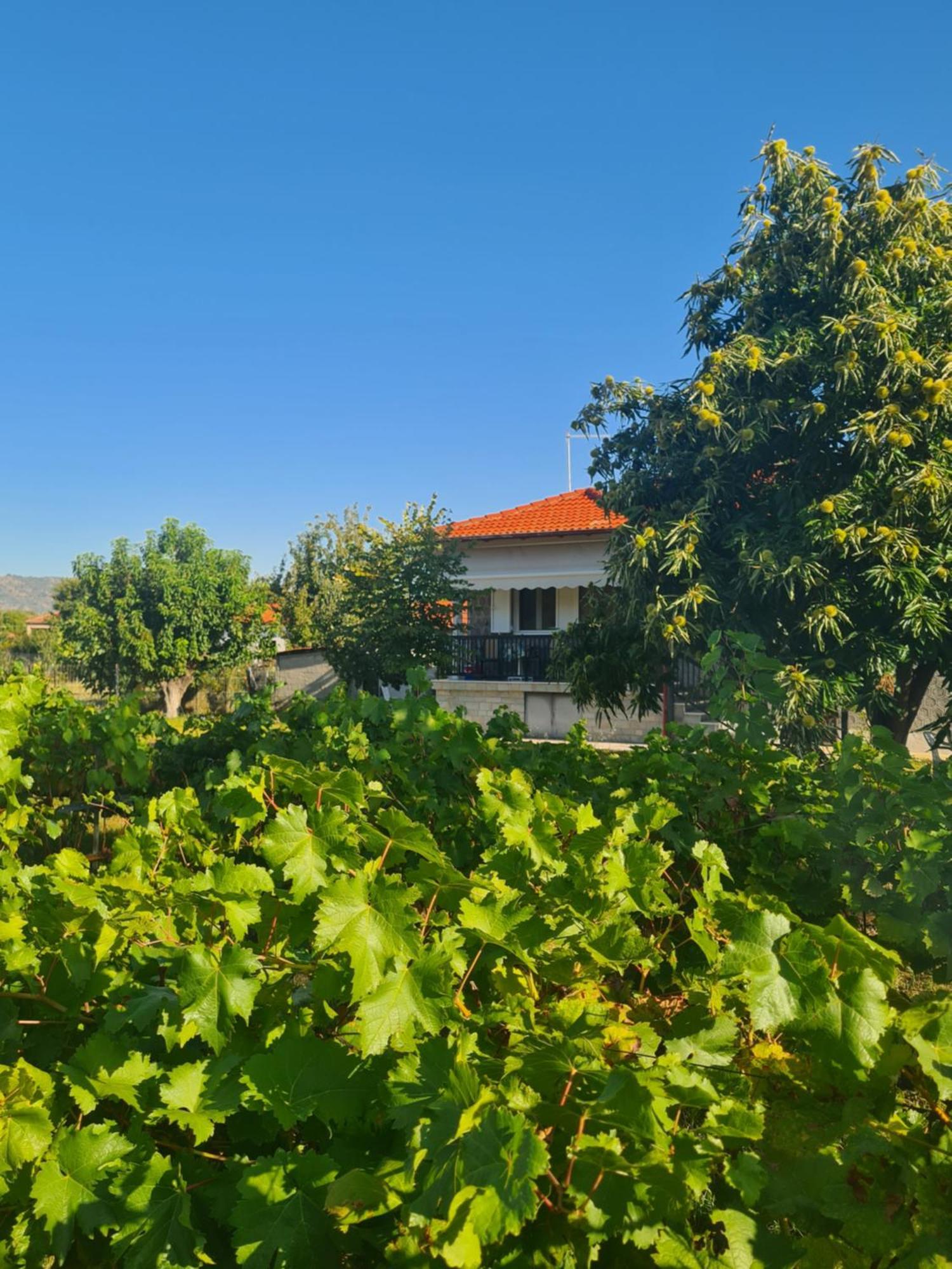 Villa Anna Paliókastron Buitenkant foto